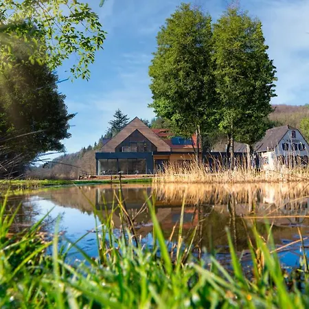 维尔穆尔兰德酒店 3* Thaleischweiler-Froschen