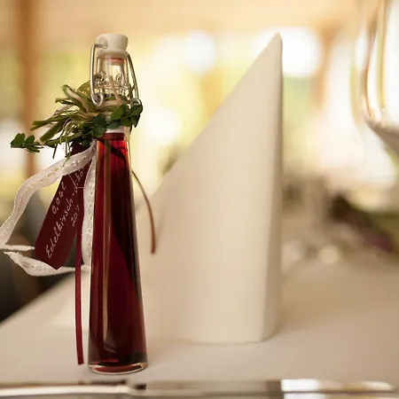 维尔穆尔兰德酒店 Thaleischweiler-Froschen