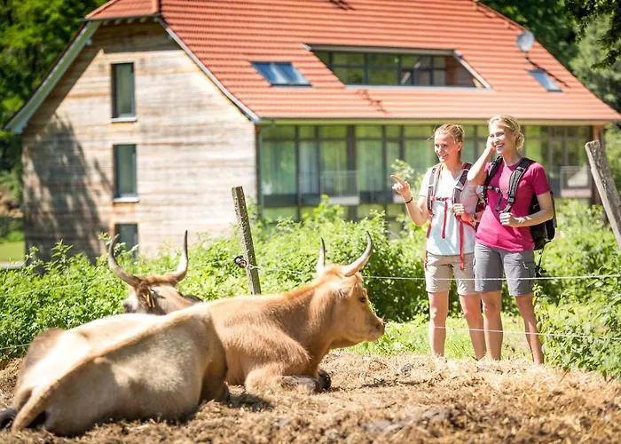Weihermühle Thaleischweiler-Froschen